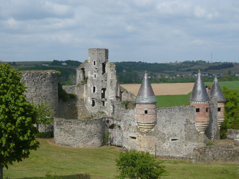 Château de La Haute-Guerche (Saint-Aubin-de-Luigné)