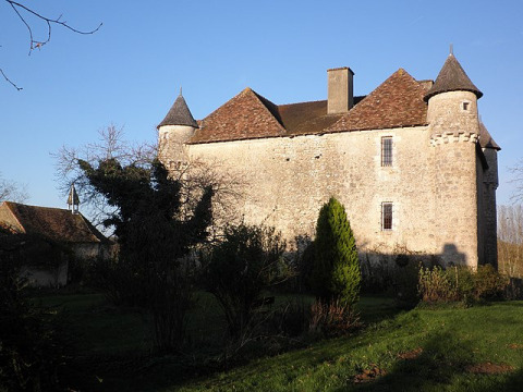 Château de Pruniers (Pindray)