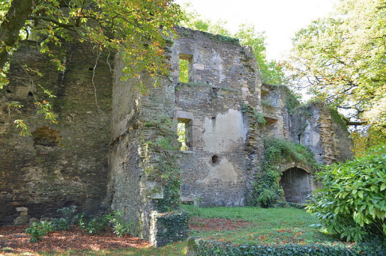 Ancien château de Rochefort (Rochefort-en-Terre)
