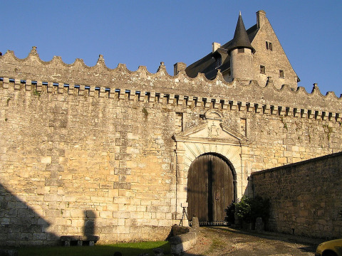 Château de Vouzan (Vouzan)