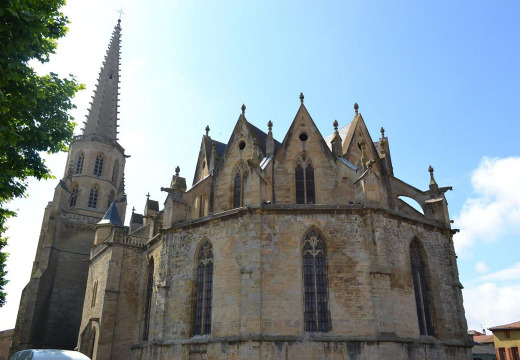 Cathédrale Saint-Maurice (Mirepoix)