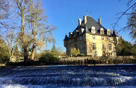 Château de Ville-sur-Saulx (Ville-sur-Saulx)