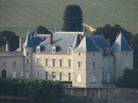 Château de Saint-Fonds (Gleizé)