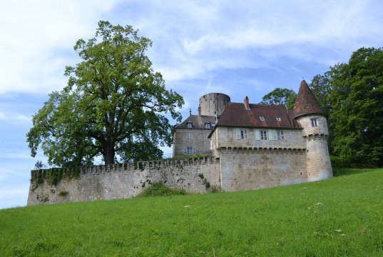 Château de Rupt-sur-Saône (Rupt-sur-Saône)
