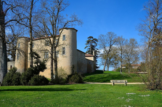 Château d'Ayron (Ayron)