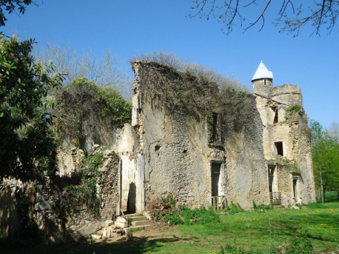 Château de Cheneru (Pirmil)