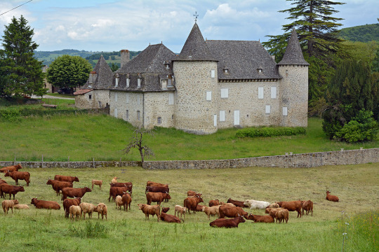 Château d'Entraygues (Boisset)