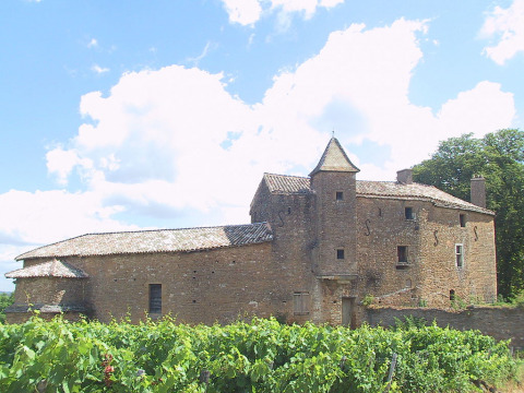 Château de Vinzelles (Vinzelles)
