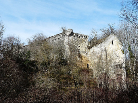 Château de Jovelle (La Tour-Blanche)