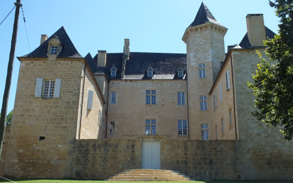 Château de Nadaillac (Nadaillac-de-Rouge)
