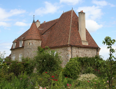 Château de Drulon (Loye-sur-Arnon)
