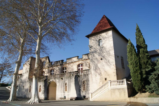 Château de Crins (Graulhet)
