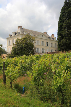Château de La Roche aux Moines (Savennières)