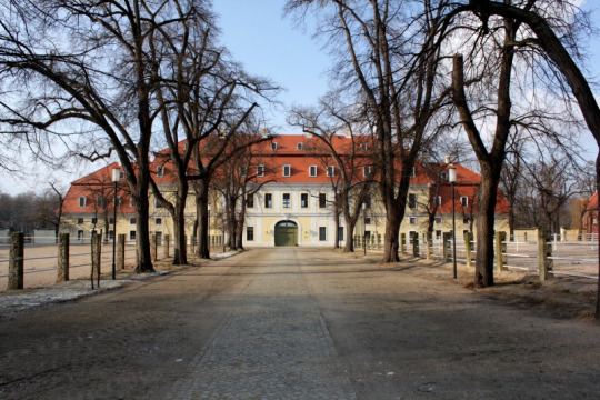 Schloss Graditz (Torgau)