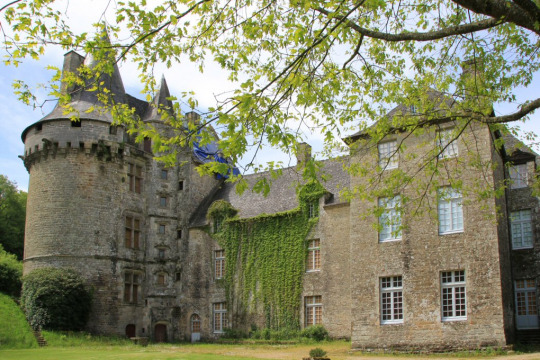 Château de Brignac (Saint-Guyomard)