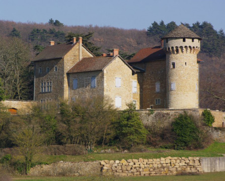 Château de Poizieu (Chozeau)