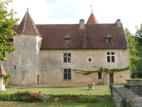 Château de Chenon (Chenon)