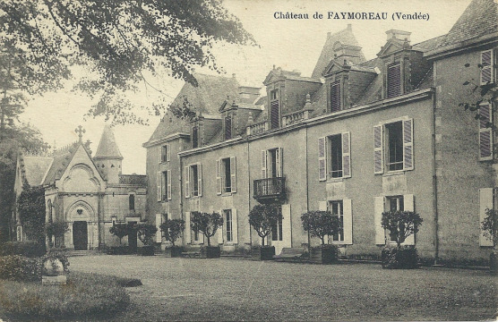 Château de Faymoreau (Faymoreau)