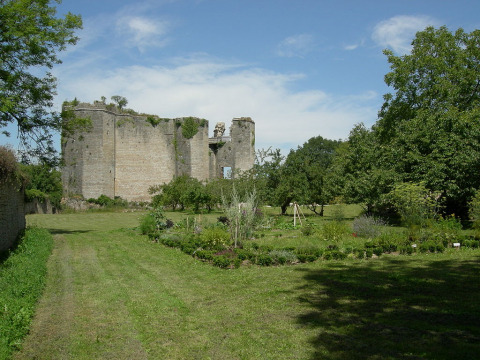 Château de Montfort (Montigny-Montfort)