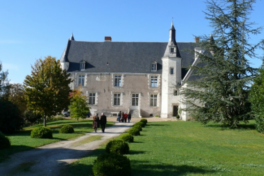 Château de Pont (Genillé)