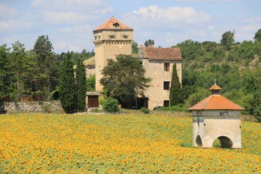 Château de Cazelles (Livers-Cazelles)