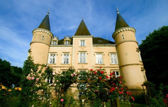 Château de La Motte-Henri (Arquenay)