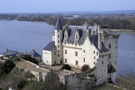 Château de Montsoreau (Montsoreau)