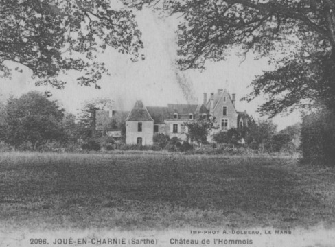 Château de L'Hommois (Joué-en-Charnie)