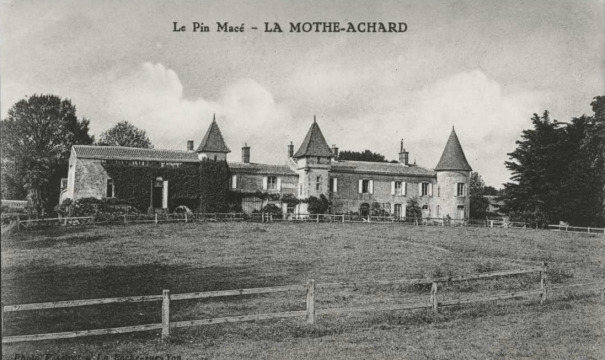 Château du Pin-Massé (Saint-Georges-de-Pointindoux)