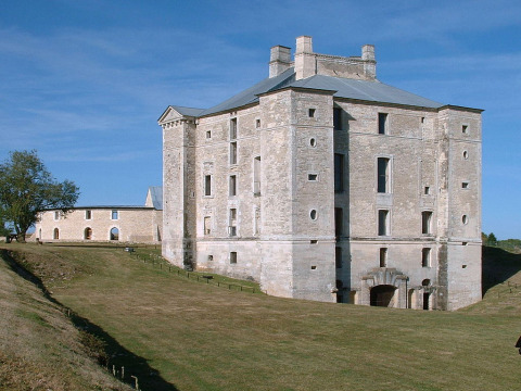 Château de Maulnes (Cruzy-le-Châtel)