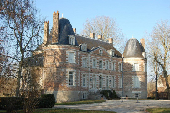 Château de La Ferté-Beauharnais (La Ferté-Beauharnais)