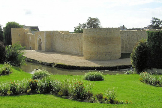 Château de Brie-Comte-Robert (Brie-Comte-Robert)