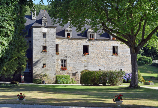 Château du Pélem (Saint-Nicolas-du-Pélem)