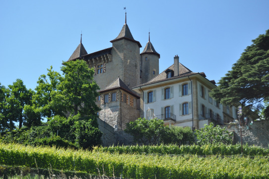 Château de Vaumarcus (Vaumarcus)