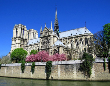 Cathédrale Notre-Dame (Paris)