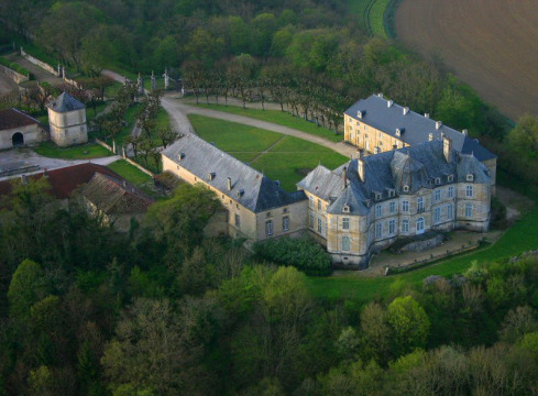 Château de Donjeux (Donjeux)