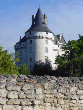 Château vieux de Verneuil (Verneuil-sur-Indre)