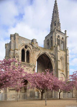 Collégiale Saint-Thomas-de-Cantorbéry (Crépy-en-Valois)