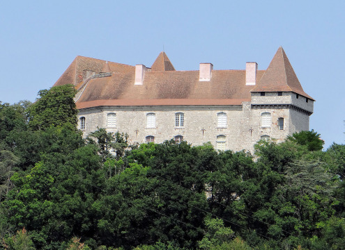 Château de Goudourville (Goudourville)