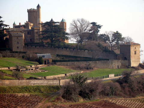 Château de Montmelas (Montmelas-Saint-Sorlin)
