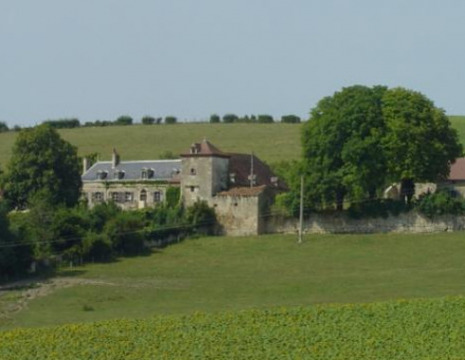 Château de La Ruas (Vicq)