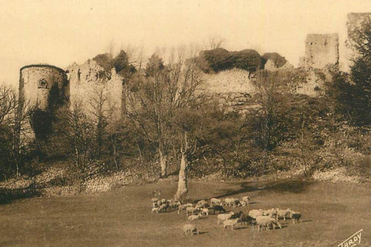 Ancien château de Vérignon (Vérignon)