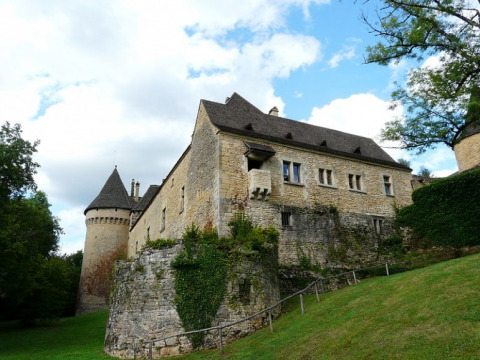 Château de Coulonges (Montignac)