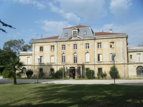 Château des Roches (Savasse)