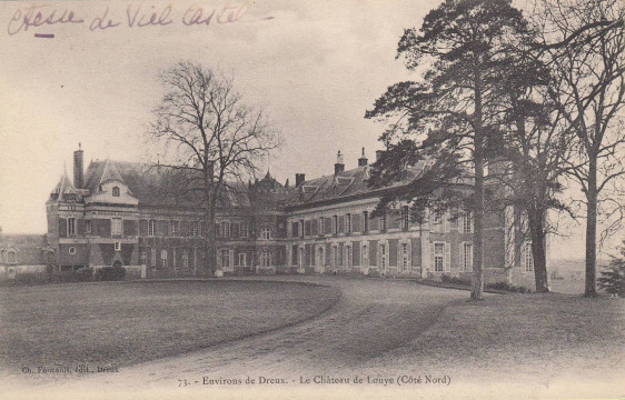 Château de Louye (Louye)