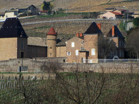 Château de Juliénas (Juliénas)