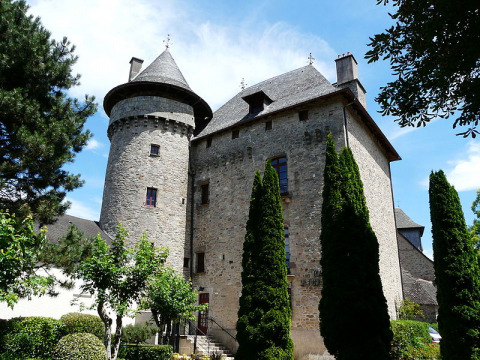 Château de Sainte-Fortunade (Sainte-Fortunade)