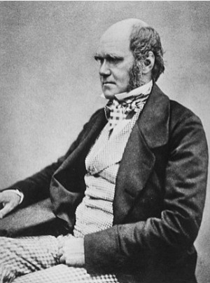 Portrait of Charles Robert Darwin (1809 - 1882)