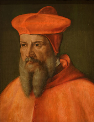 Portrait de François de Tournon (1489 - 1562)