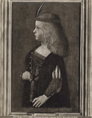 Portrait de Francesco Maria Sforza (1491 - 1512)